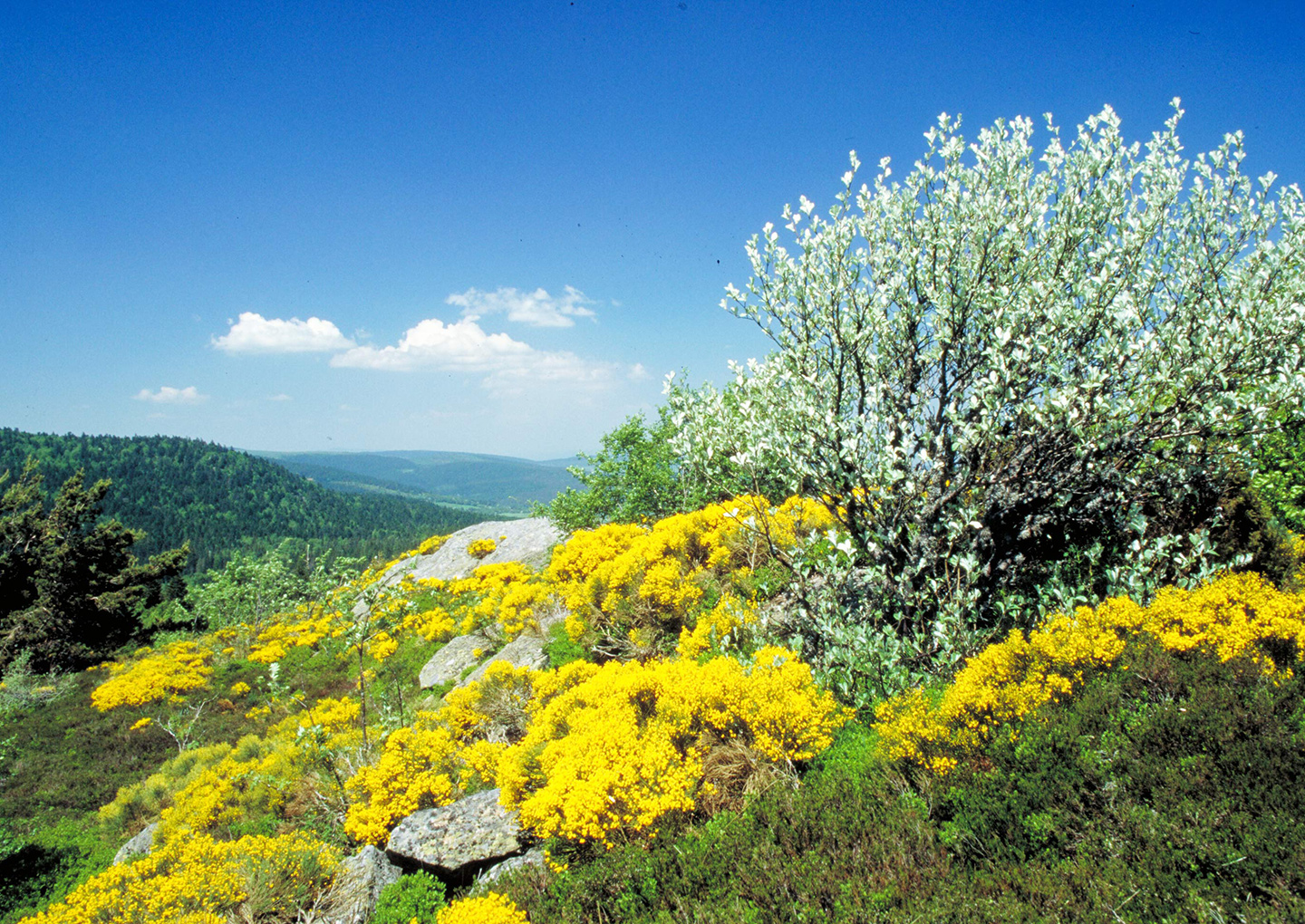 © Jean-Luc Rigaux / Auvergne-Rhône-Alpes Tourisme - © Jean-Luc Rigaux / Auvergne-Rhône-Alpes Tourisme