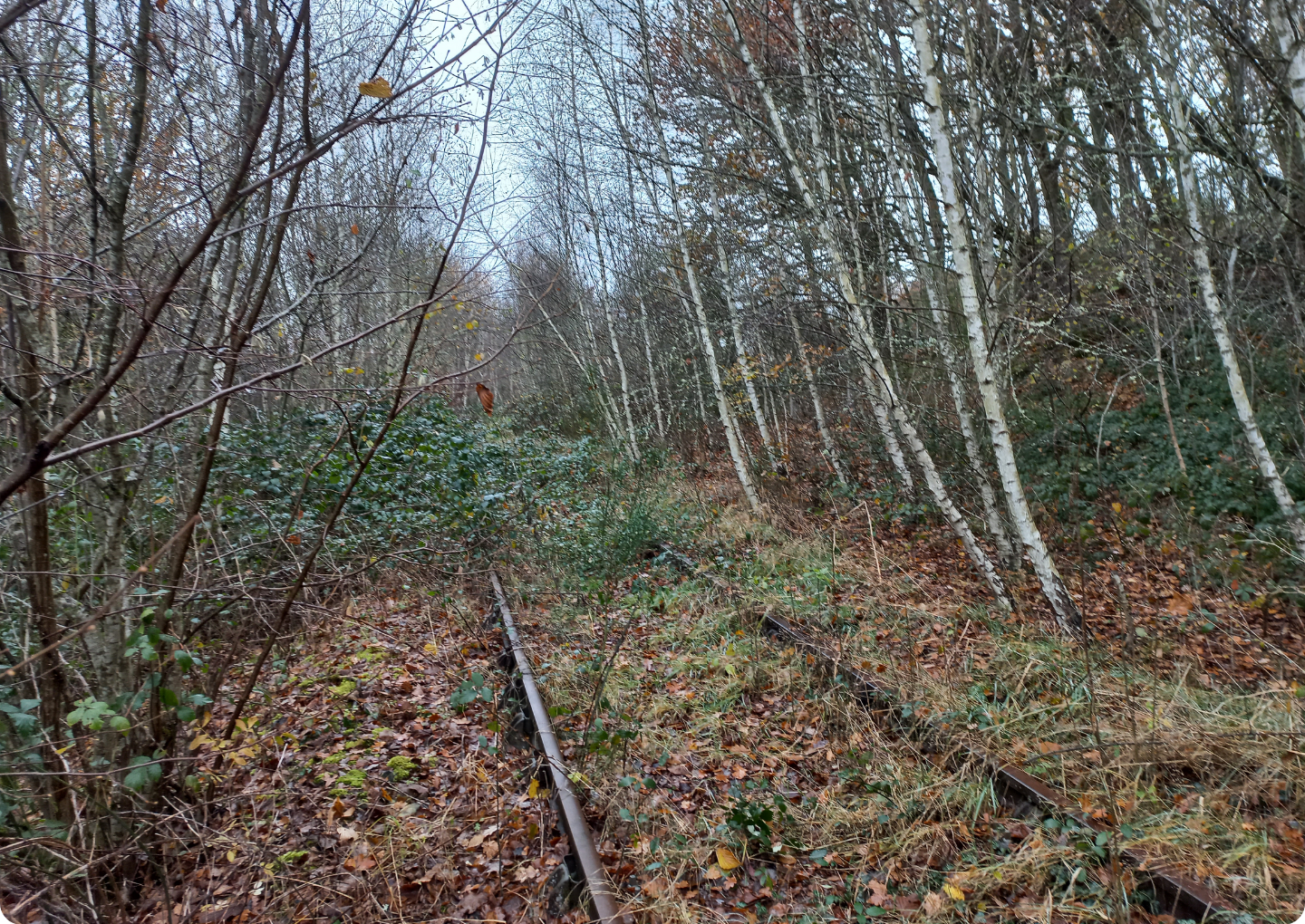 Via Combrailles voie ferrée en friche Via Combrailles voie ferrée en friche
