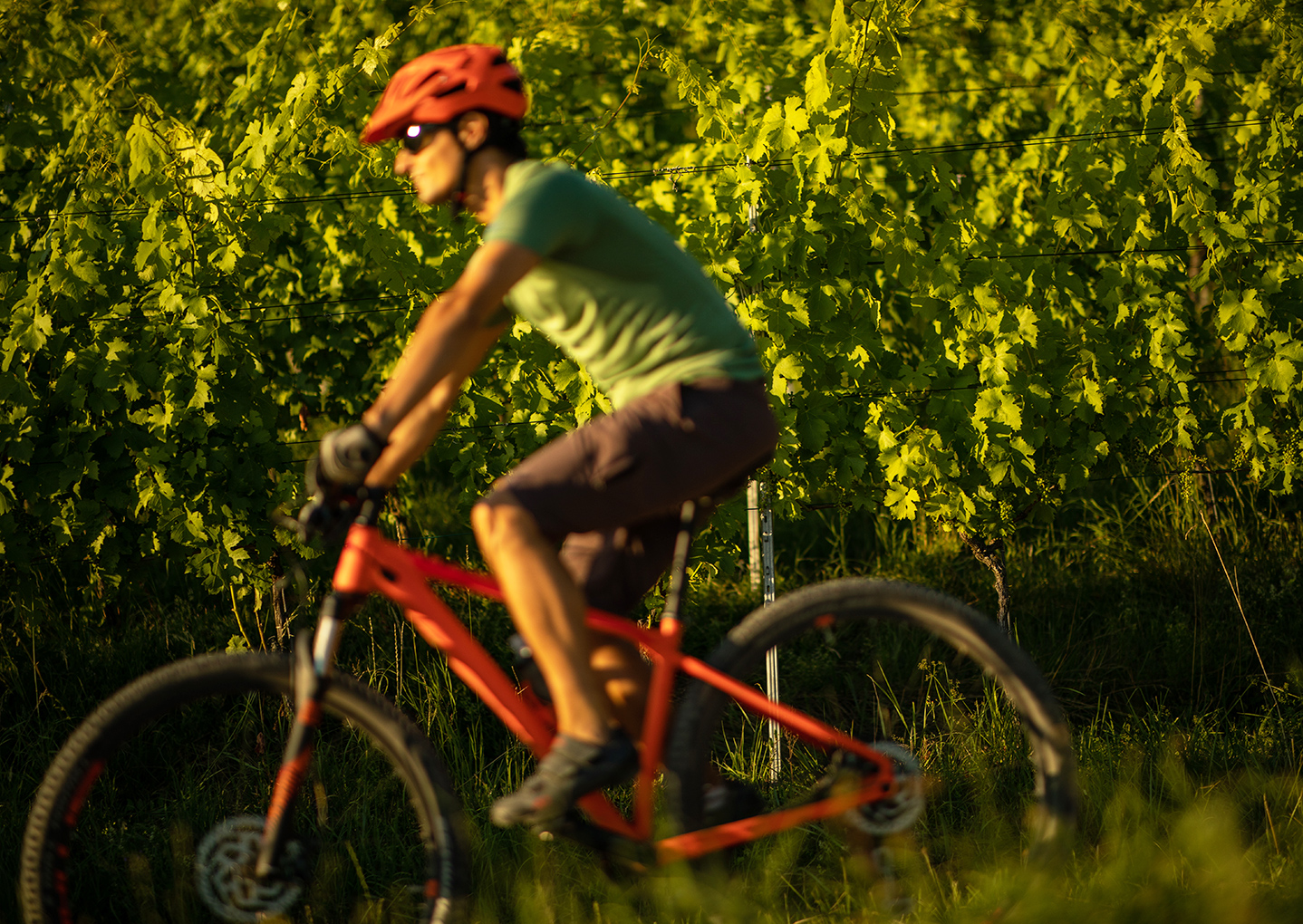 beaujolais velo - © 123RF beaujolais velo