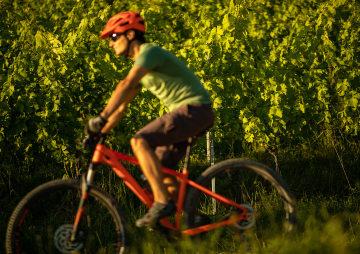 beaujolais velo