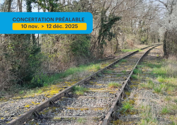 V75 image consultation