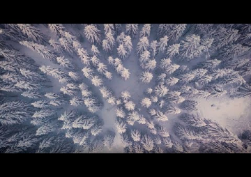 Preview image for the video "La Vallée d'Aulps en hiver".